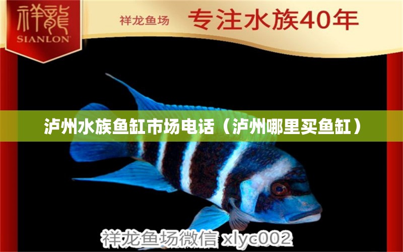 泸州水族鱼缸市场电话（泸州哪里买鱼缸）