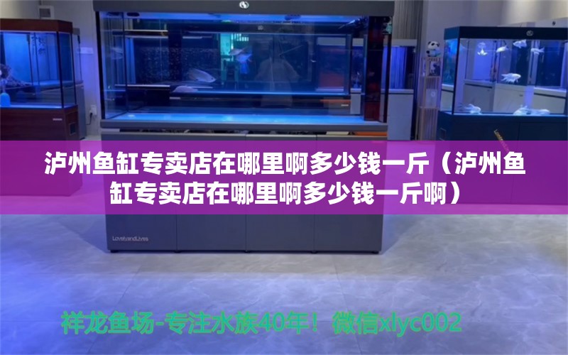 泸州鱼缸专卖店在哪里啊多少钱一斤（泸州鱼缸专卖店在哪里啊多少钱一斤啊） 观赏鱼市场（混养鱼） 第2张