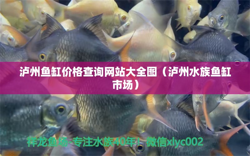 泸州鱼缸价格查询网站大全图（泸州水族鱼缸市场） 观赏鱼批发