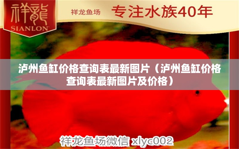 泸州鱼缸价格查询表最新图片（泸州鱼缸价格查询表最新图片及价格） 麦肯斯银版鱼