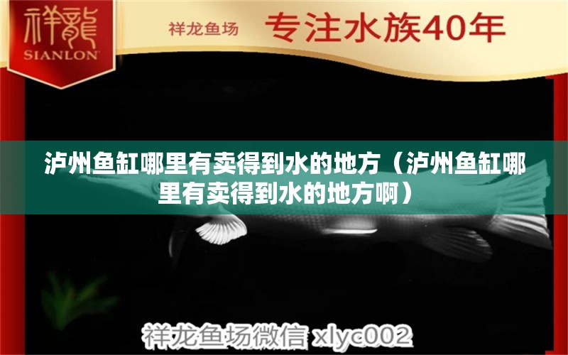 泸州鱼缸哪里有卖得到水的地方（泸州鱼缸哪里有卖得到水的地方啊）