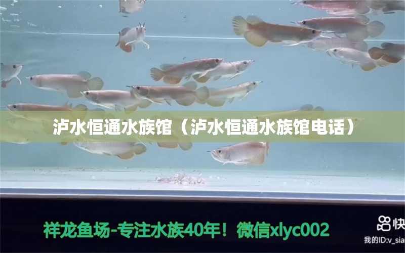 泸水恒通水族馆（泸水恒通水族馆电话）