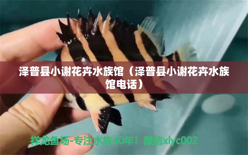 泽普县小谢花卉水族馆（泽普县小谢花卉水族馆电话）