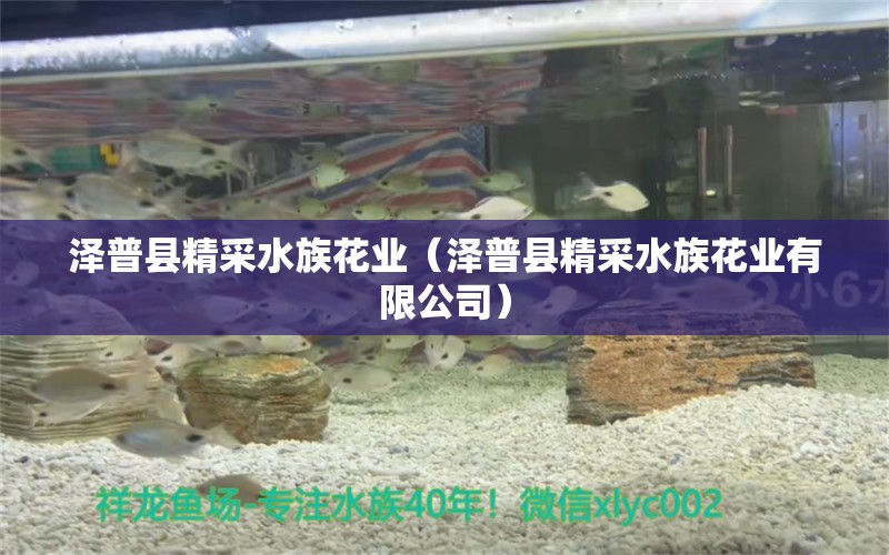 泽普县精采水族花业（泽普县精采水族花业有限公司）