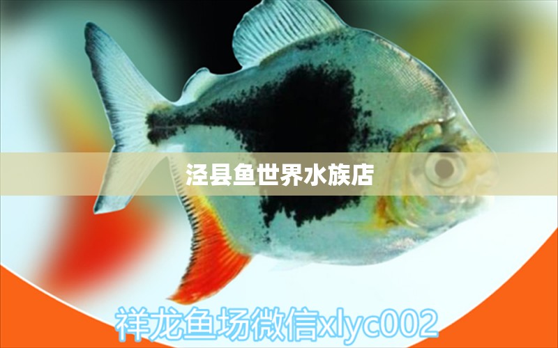 泾县鱼世界水族店 全国水族馆企业名录