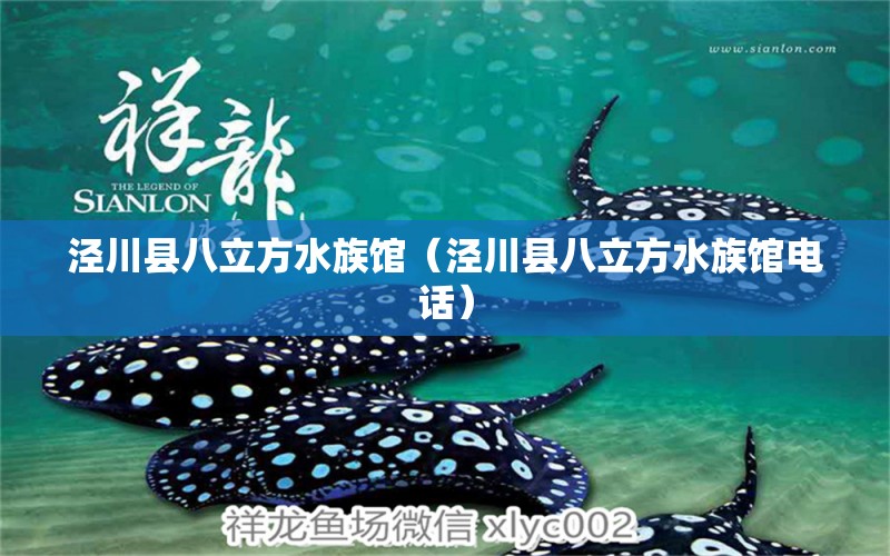 泾川县八立方水族馆（泾川县八立方水族馆电话） 全国水族馆企业名录