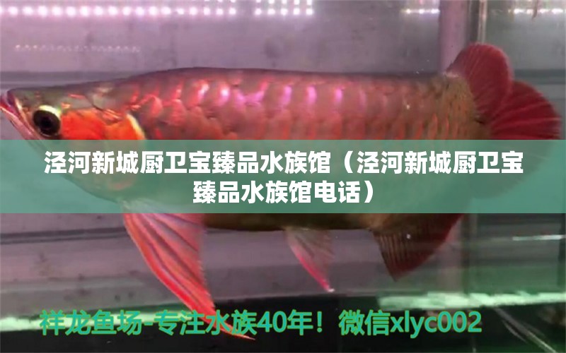 泾河新城厨卫宝臻品水族馆（泾河新城厨卫宝臻品水族馆电话）