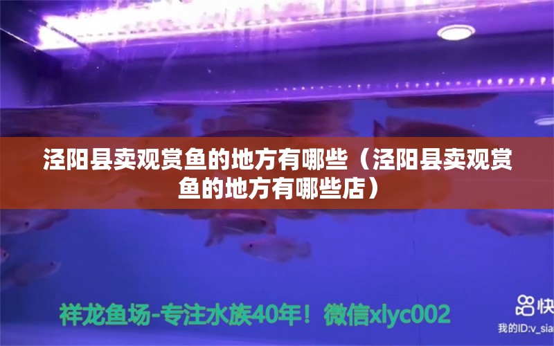 泾阳县卖观赏鱼的地方有哪些（泾阳县卖观赏鱼的地方有哪些店）