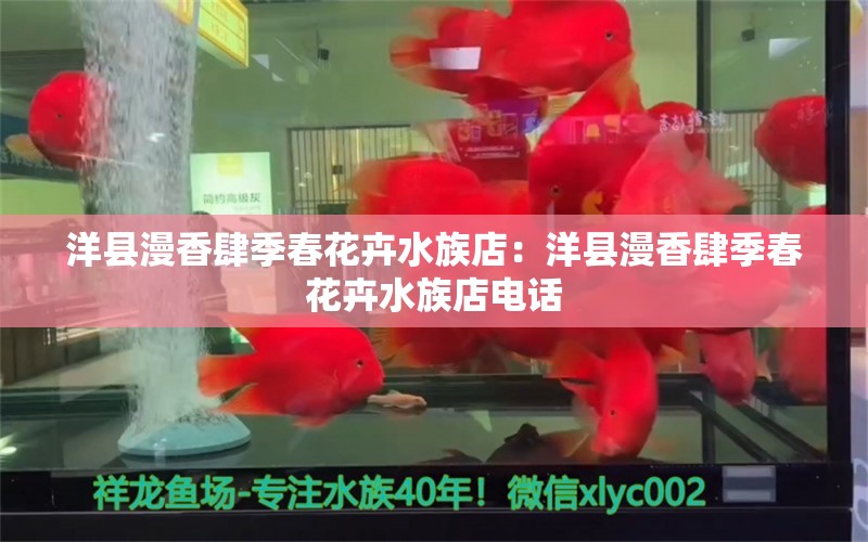 洋县漫香肆季春花卉水族店：洋县漫香肆季春花卉水族店电话 全国水族馆企业名录