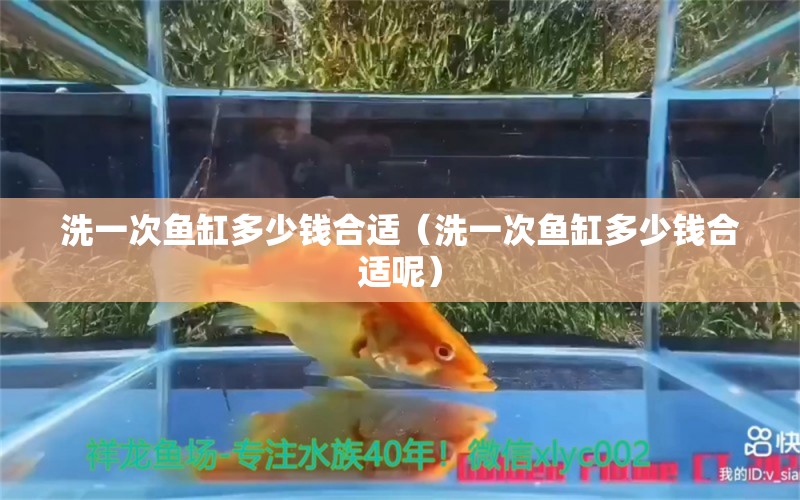 洗一次鱼缸多少钱合适（洗一次鱼缸多少钱合适呢） 祥龙水族医院