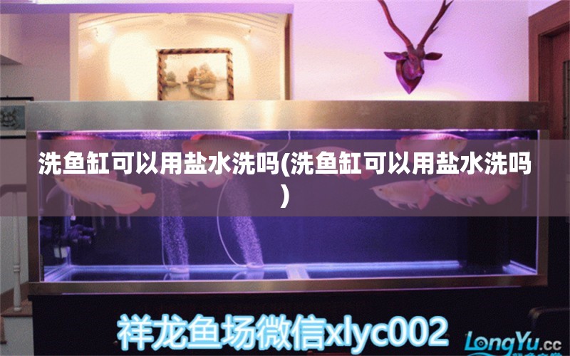 洗鱼缸可以用盐水洗吗(洗鱼缸可以用盐水洗吗) 祥龙水族医院