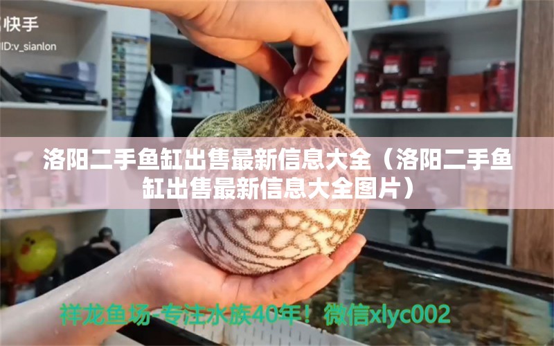 洛阳二手鱼缸出售最新信息大全（洛阳二手鱼缸出售最新信息大全图片）