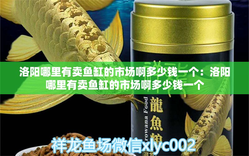 洛阳哪里有卖鱼缸的市场啊多少钱一个：洛阳哪里有卖鱼缸的市场啊多少钱一个