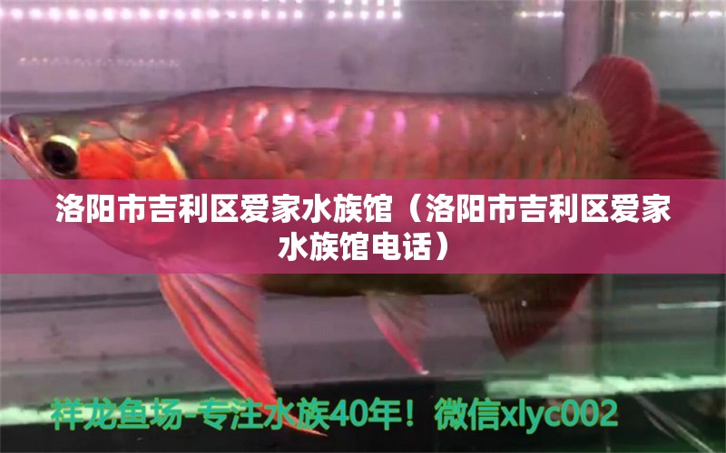 洛阳市吉利区爱家水族馆（洛阳市吉利区爱家水族馆电话） 全国水族馆企业名录