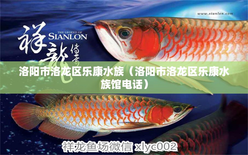 洛阳市洛龙区乐康水族（洛阳市洛龙区乐康水族馆电话） 全国水族馆企业名录