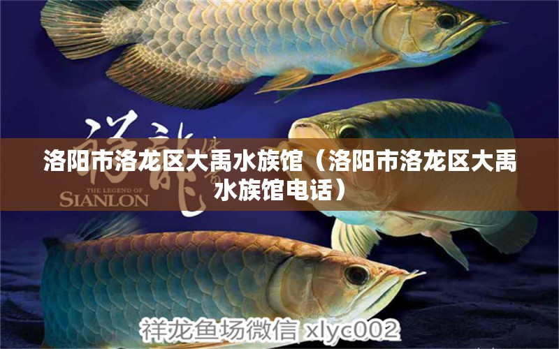 洛阳市洛龙区大禹水族馆（洛阳市洛龙区大禹水族馆电话）