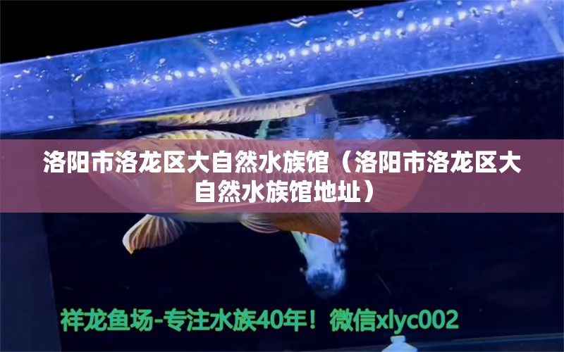 洛阳市洛龙区大自然水族馆（洛阳市洛龙区大自然水族馆地址） 全国水族馆企业名录