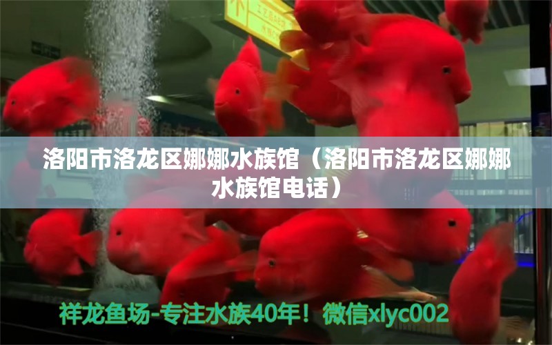 洛阳市洛龙区娜娜水族馆（洛阳市洛龙区娜娜水族馆电话） 全国水族馆企业名录