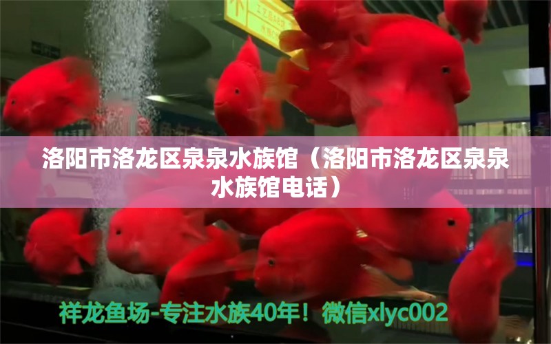 洛阳市洛龙区泉泉水族馆（洛阳市洛龙区泉泉水族馆电话）