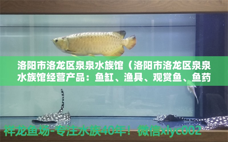 洛阳市洛龙区泉泉水族馆（洛阳市洛龙区泉泉水族馆经营产品：鱼缸、渔具、观赏鱼、鱼药的销售） 全国观赏鱼市场 第2张