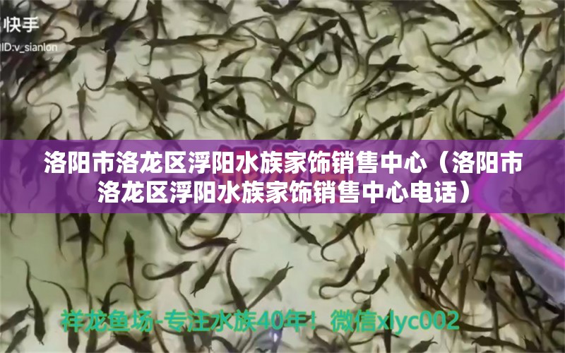 洛阳市洛龙区浮阳水族家饰销售中心（洛阳市洛龙区浮阳水族家饰销售中心电话）