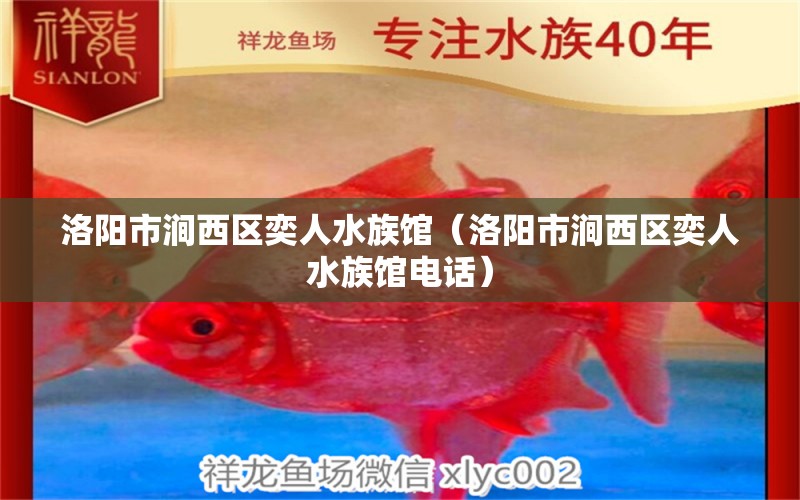 洛阳市涧西区奕人水族馆（洛阳市涧西区奕人水族馆电话） 全国水族馆企业名录