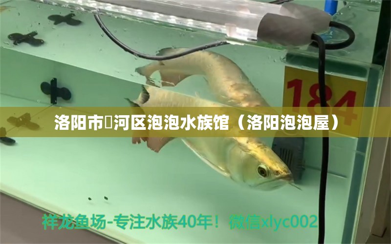 洛阳市瀍河区泡泡水族馆（洛阳泡泡屋） 全国水族馆企业名录