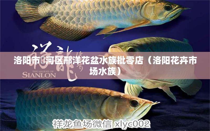 洛阳市瀍河区邢洋花盆水族批零店（洛阳花卉市场水族）