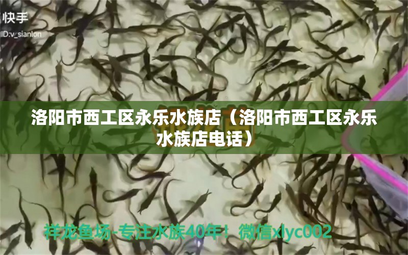 洛阳市西工区永乐水族店（洛阳市西工区永乐水族店电话） 全国水族馆企业名录