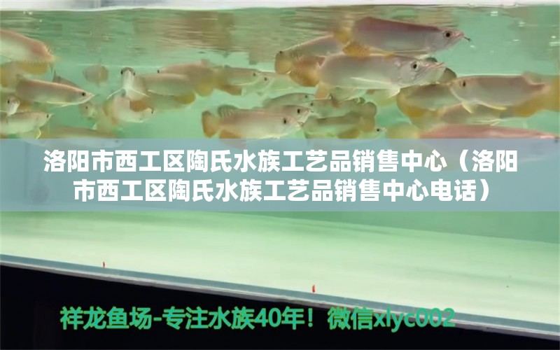 洛阳市西工区陶氏水族工艺品销售中心（洛阳市西工区陶氏水族工艺品销售中心电话）