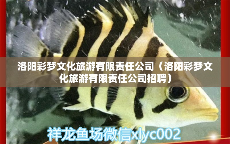 洛阳彩梦文化旅游有限责任公司（洛阳彩梦文化旅游有限责任公司招聘） 全国水族馆企业名录