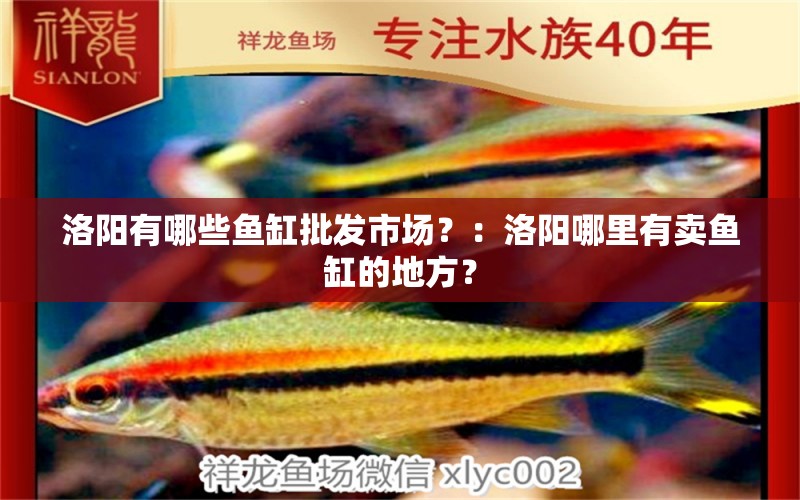 洛阳有哪些鱼缸批发市场？：洛阳哪里有卖鱼缸的地方？ 鱼缸百科 第2张