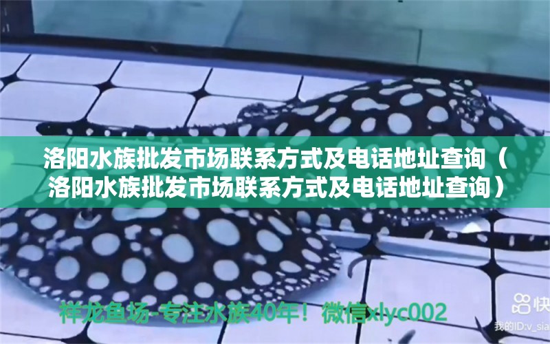 洛阳水族批发市场联系方式及电话地址查询（洛阳水族批发市场联系方式及电话地址查询）