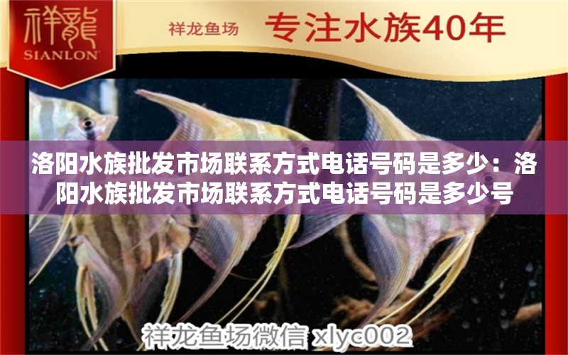 洛阳水族批发市场联系方式电话号码是多少：洛阳水族批发市场联系方式电话号码是多少号