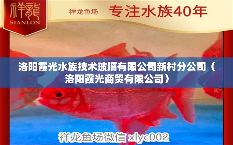 洛阳霞光水族技术玻璃有限公司新村分公司（洛阳霞光商贸有限公司） 全国水族馆企业名录