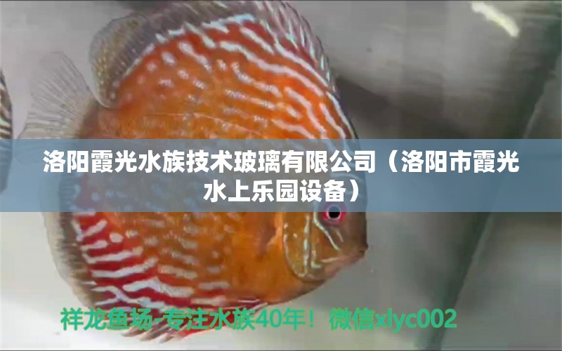 洛阳霞光水族技术玻璃有限公司（洛阳市霞光水上乐园设备）