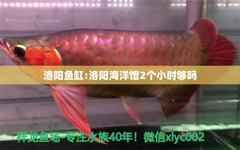 洛阳鱼缸:洛阳海洋馆2个小时够吗