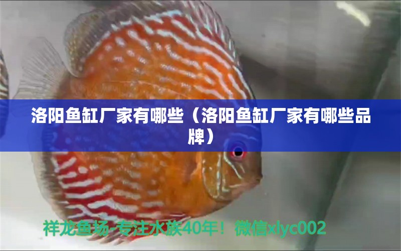 洛阳鱼缸厂家有哪些（洛阳鱼缸厂家有哪些品牌）