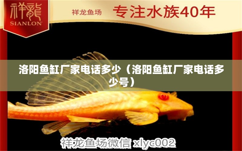 洛阳鱼缸厂家电话多少（洛阳鱼缸厂家电话多少号） 祥龙水族医院