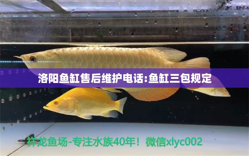 洛阳鱼缸售后维护电话:鱼缸三包规定