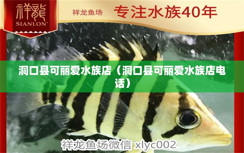 洞口县可丽爱水族店（洞口县可丽爱水族店电话）