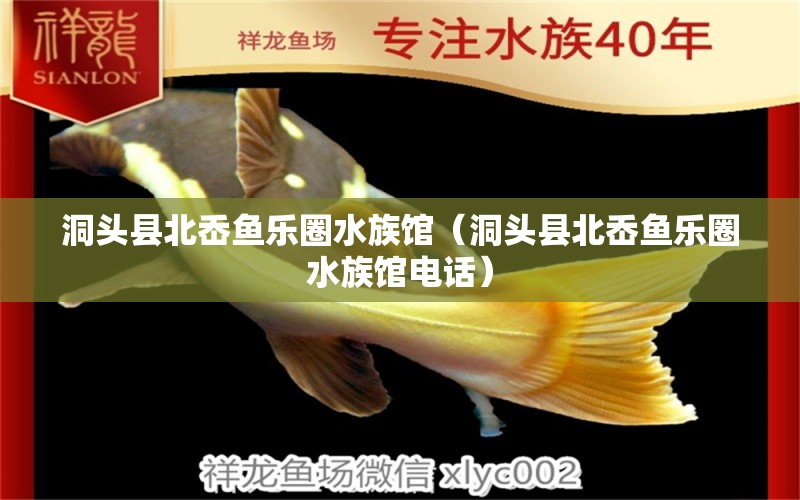 洞头县北岙鱼乐圈水族馆（洞头县北岙鱼乐圈水族馆电话） 全国水族馆企业名录