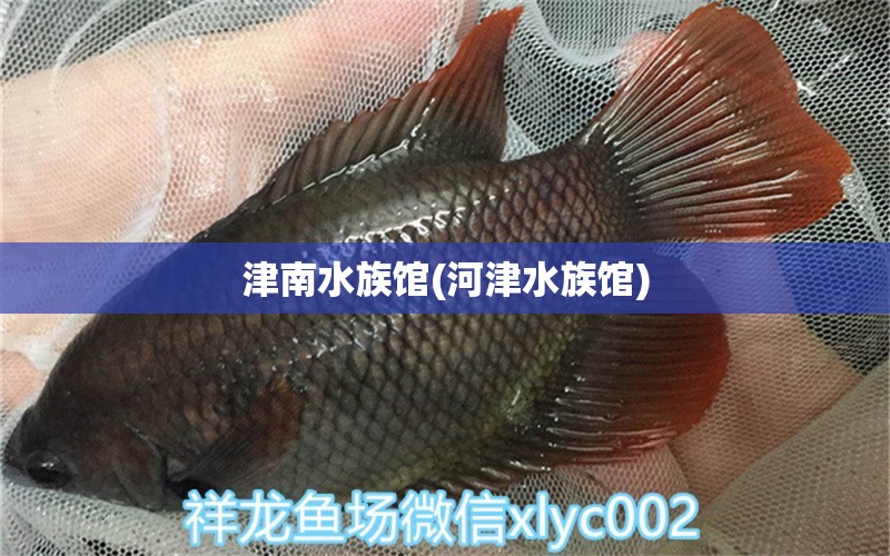 津南水族馆(河津水族馆)