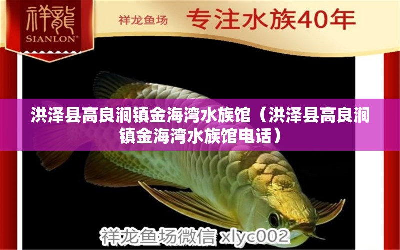 洪泽县高良涧镇金海湾水族馆（洪泽县高良涧镇金海湾水族馆电话）