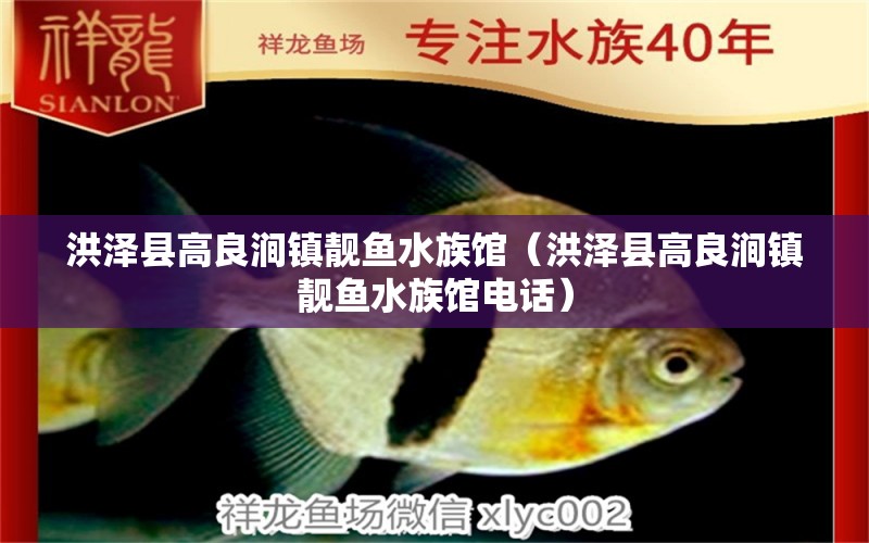 洪泽县高良涧镇靓鱼水族馆（洪泽县高良涧镇靓鱼水族馆电话） 全国水族馆企业名录