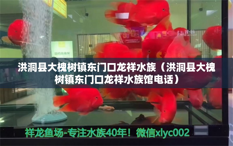 洪洞县大槐树镇东门口龙祥水族（洪洞县大槐树镇东门口龙祥水族馆电话）