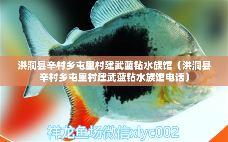 洪洞县辛村乡屯里村建武蓝钻水族馆（洪洞县辛村乡屯里村建武蓝钻水族馆电话）