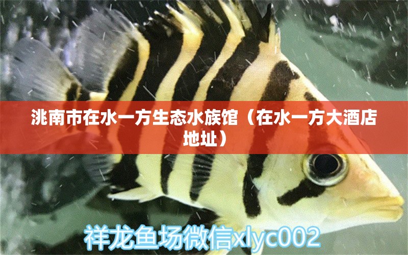 洮南市在水一方生态水族馆（在水一方大酒店地址）