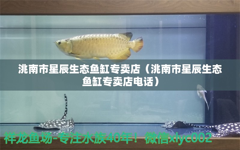 洮南市星辰生态鱼缸专卖店（洮南市星辰生态鱼缸专卖店电话）