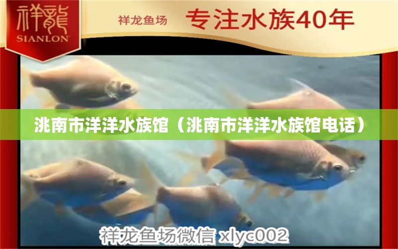 洮南市洋洋水族馆（洮南市洋洋水族馆电话）